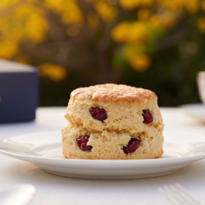 Tintagel Berry Jewel - Cranberry Scone